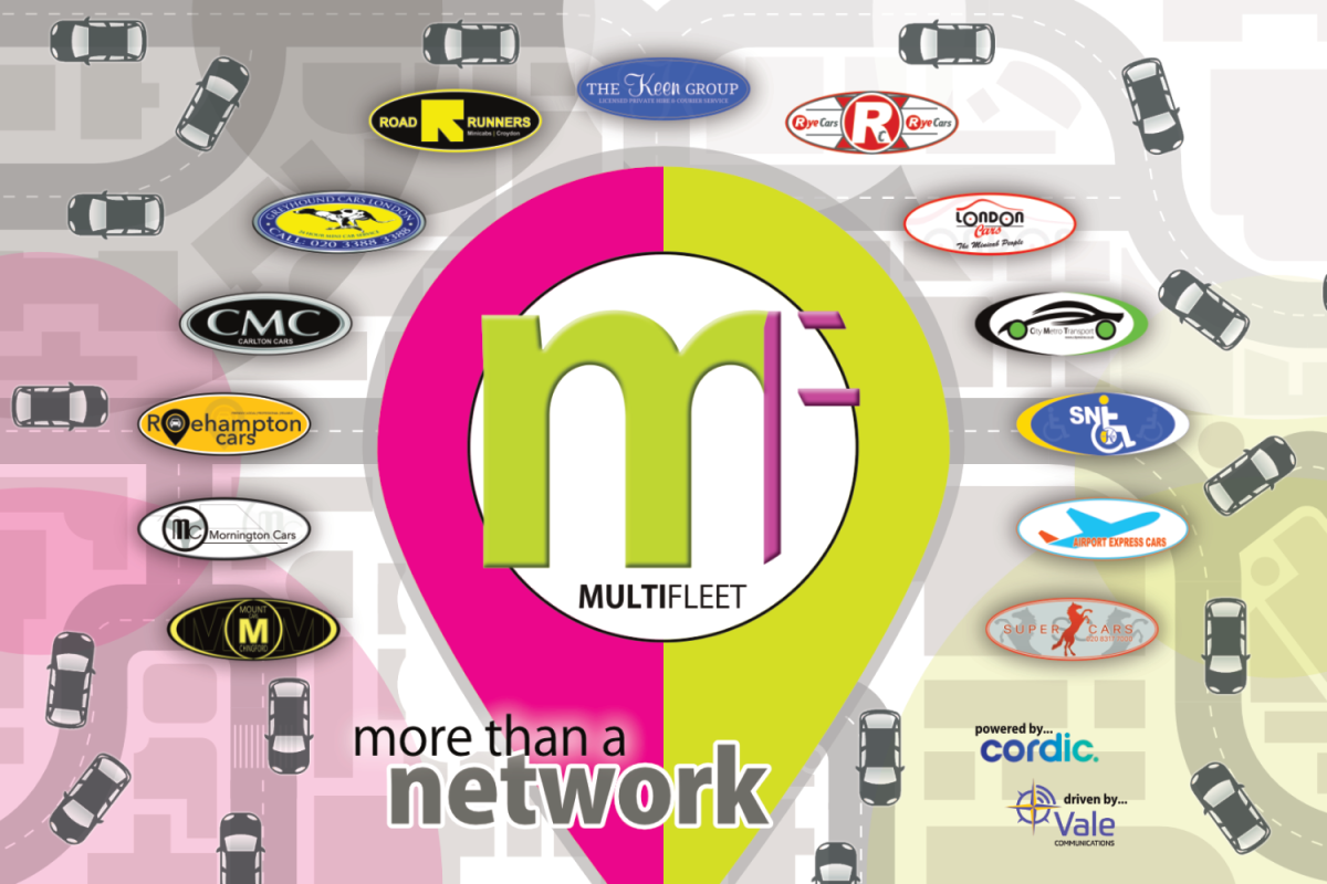 THE MULTIFLEET NETWORK OF COMPANIES